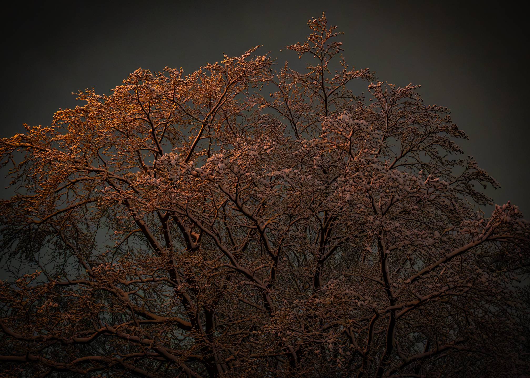 Winterlandschaft