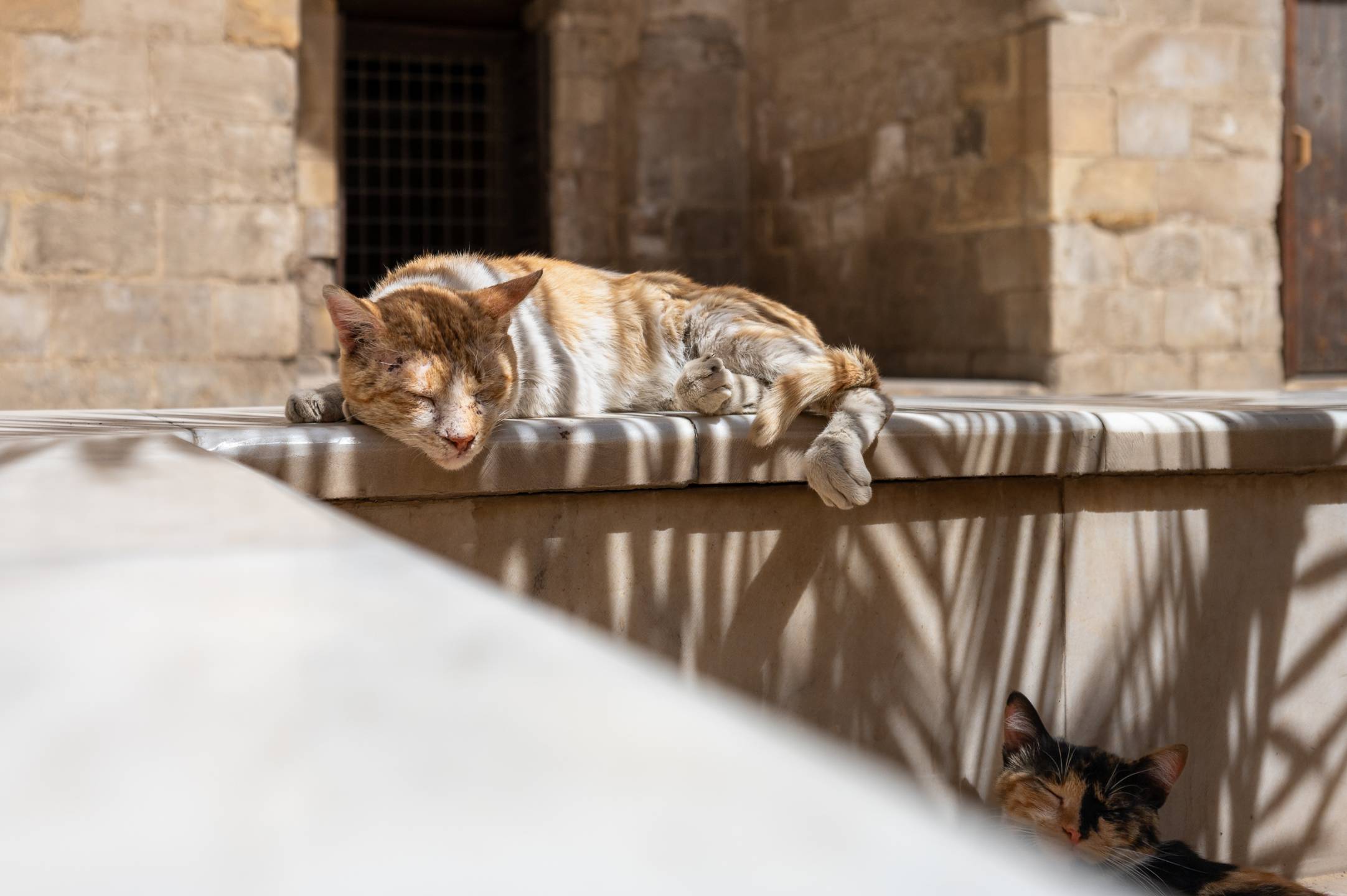 Heilige Tiere im Alten Ägypten