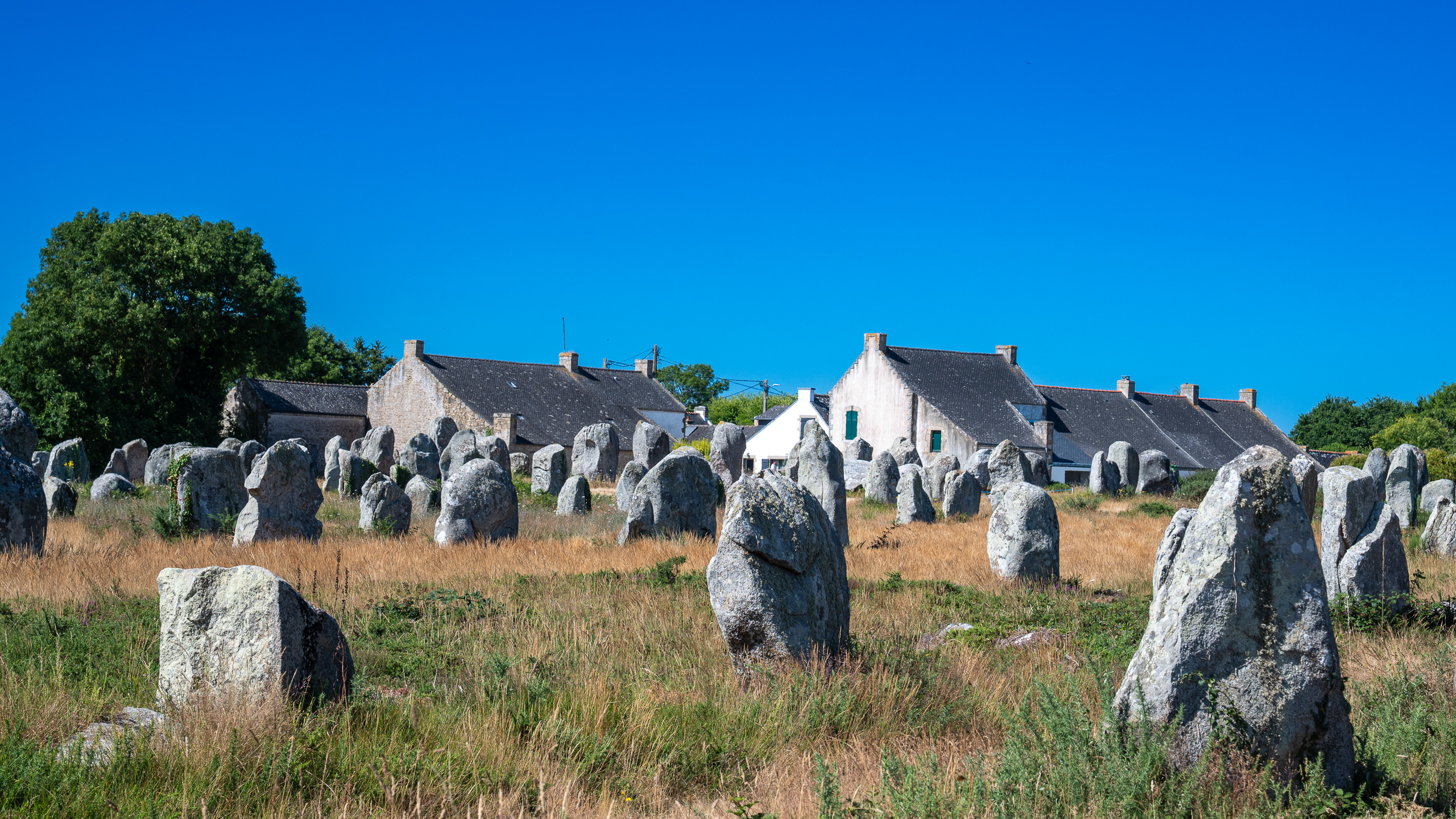 Weltweit einzigartig: Die Megalithfelder von Carnac