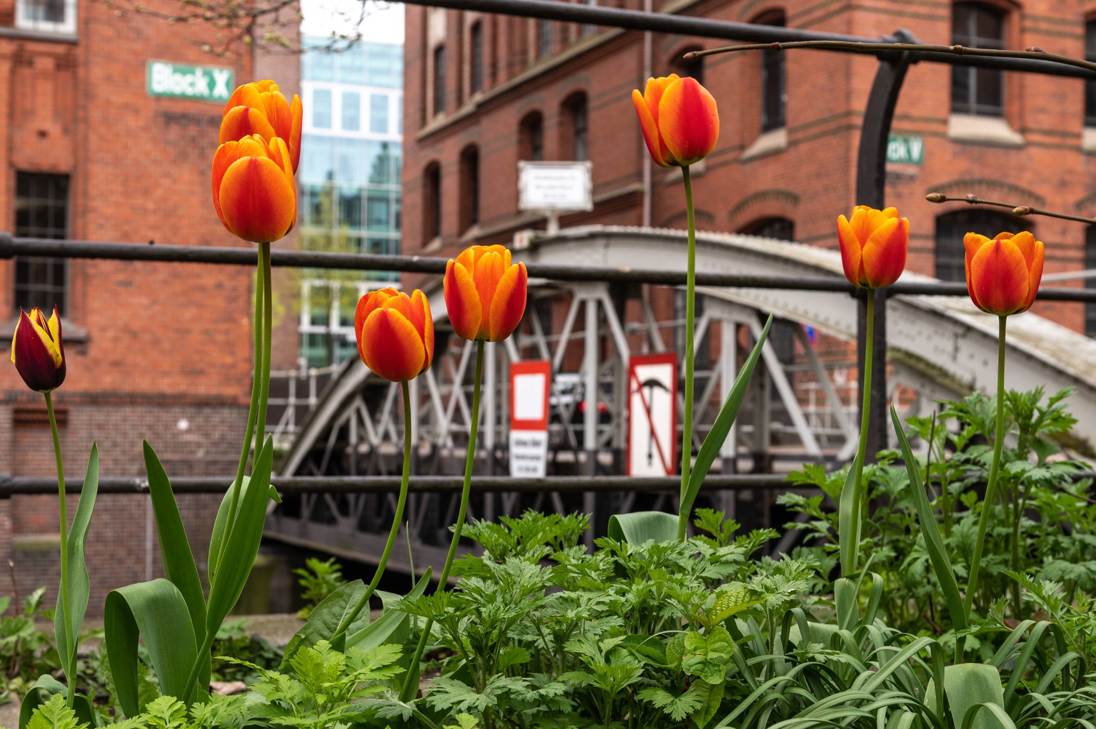 Deutschlandreise 2023