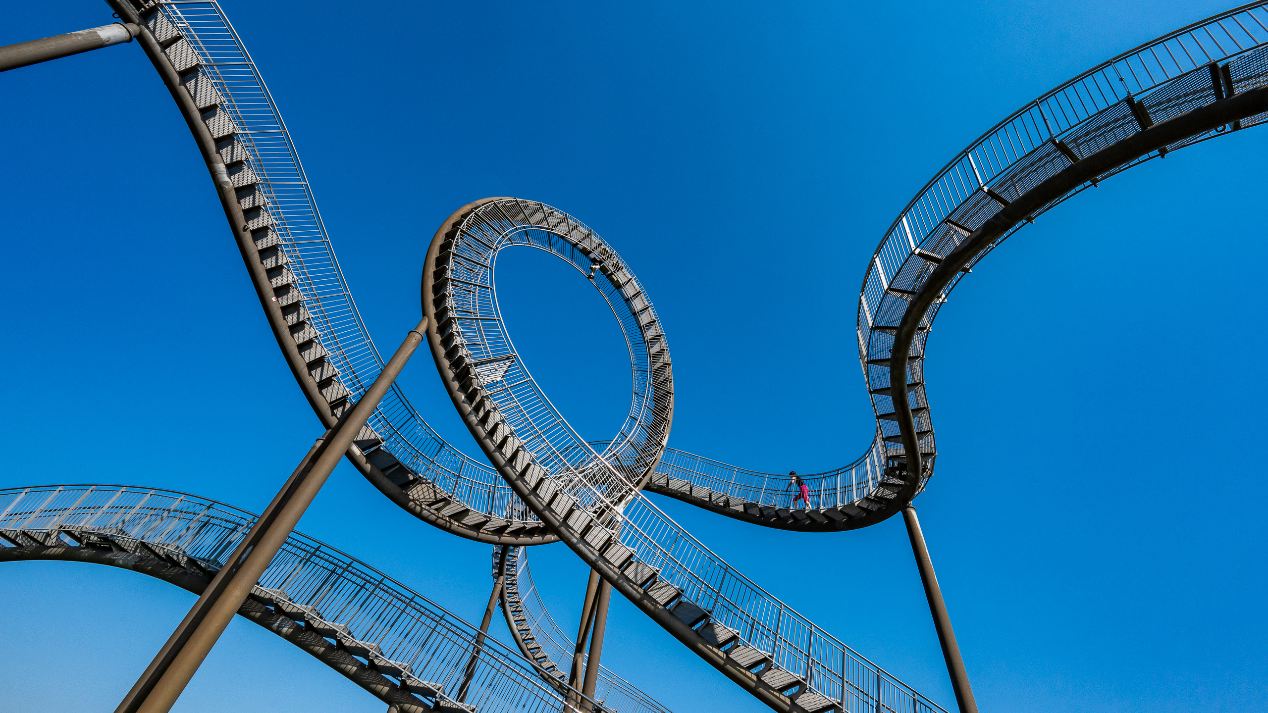 Tiger & Turtle