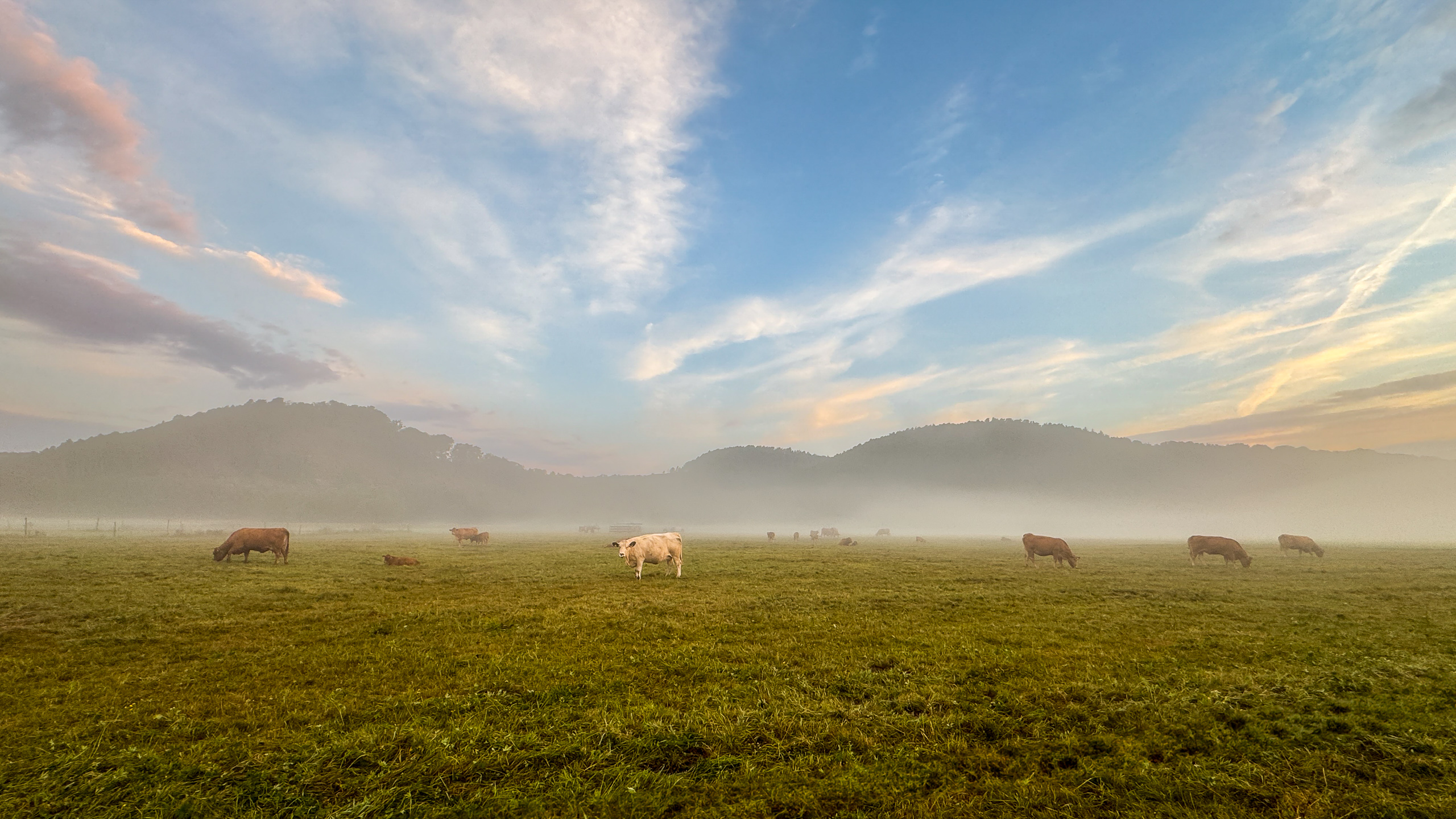 Septembermorgen im Wehrdaer Feld