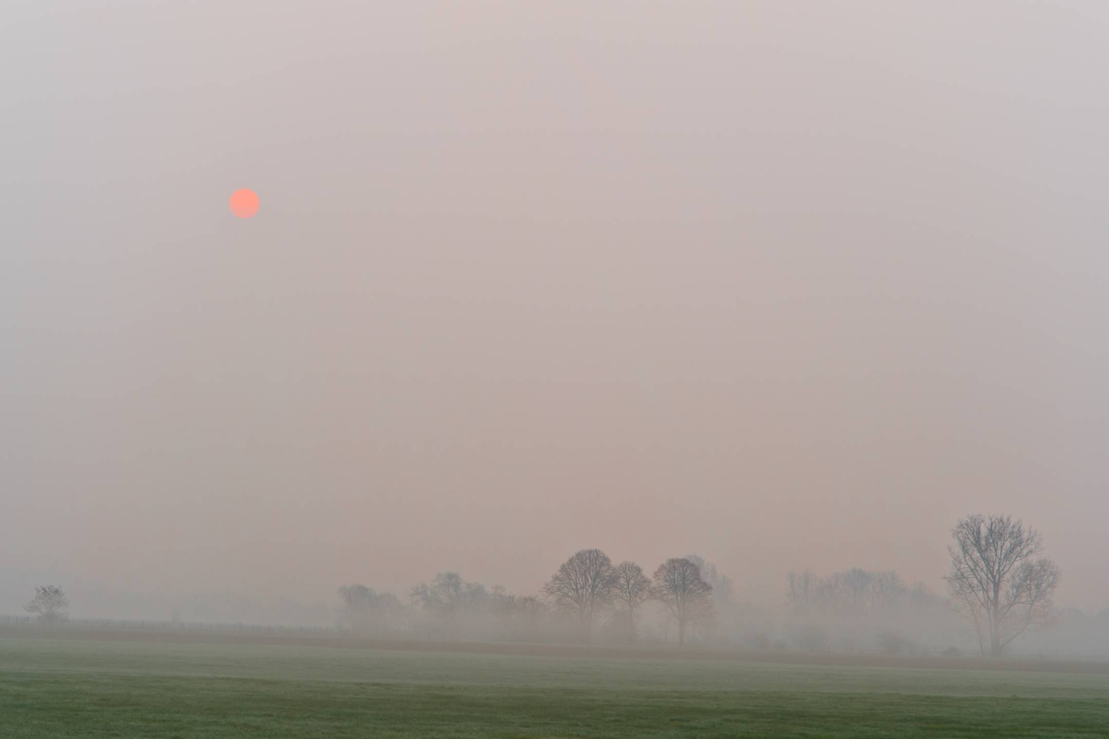 Frühlingsmorgen