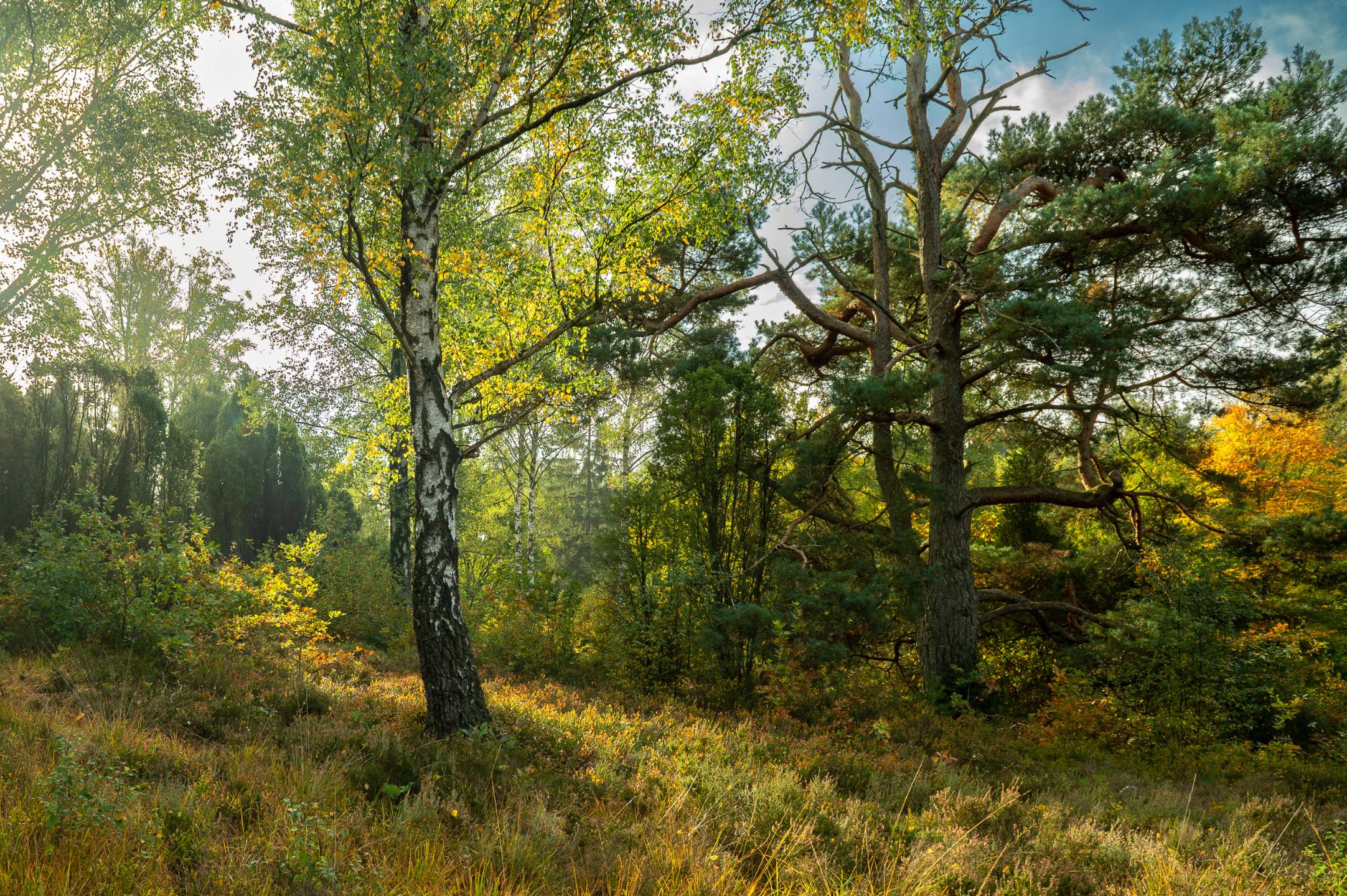 Herbstzauber im Spöktal