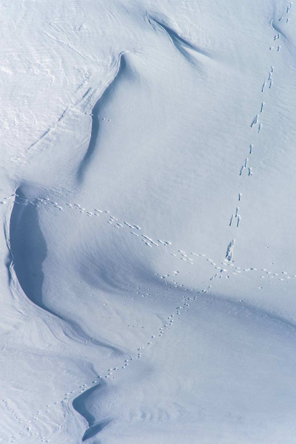 Spurensuche am Nebelhorn
