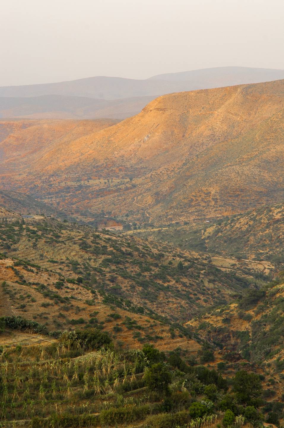 Landschaft nahe Dire Dawa