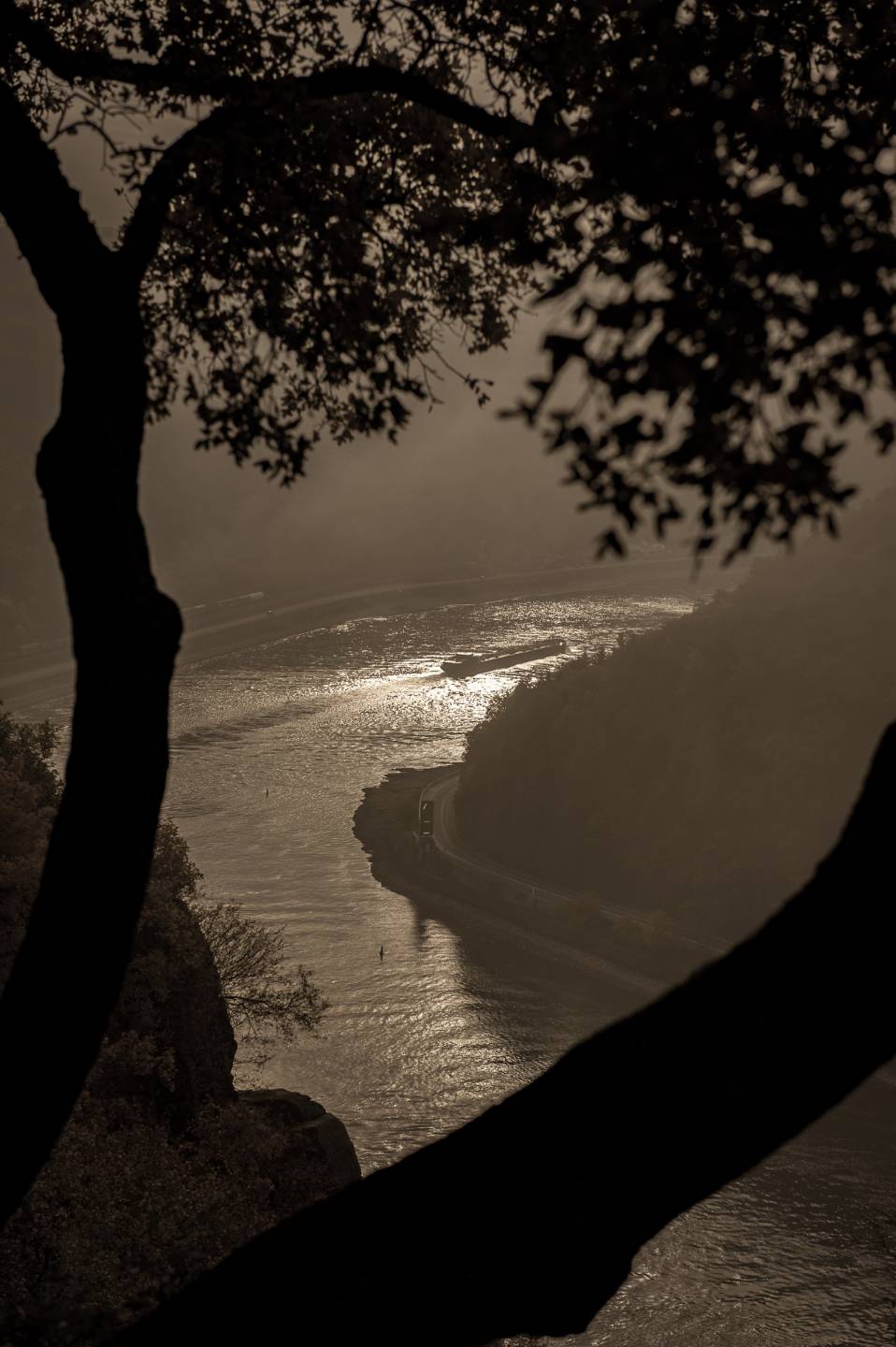 An der Loreley