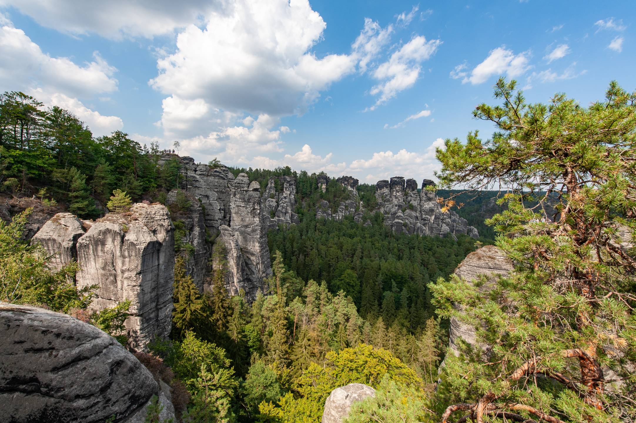 Aussicht mit der Kleinen Gans