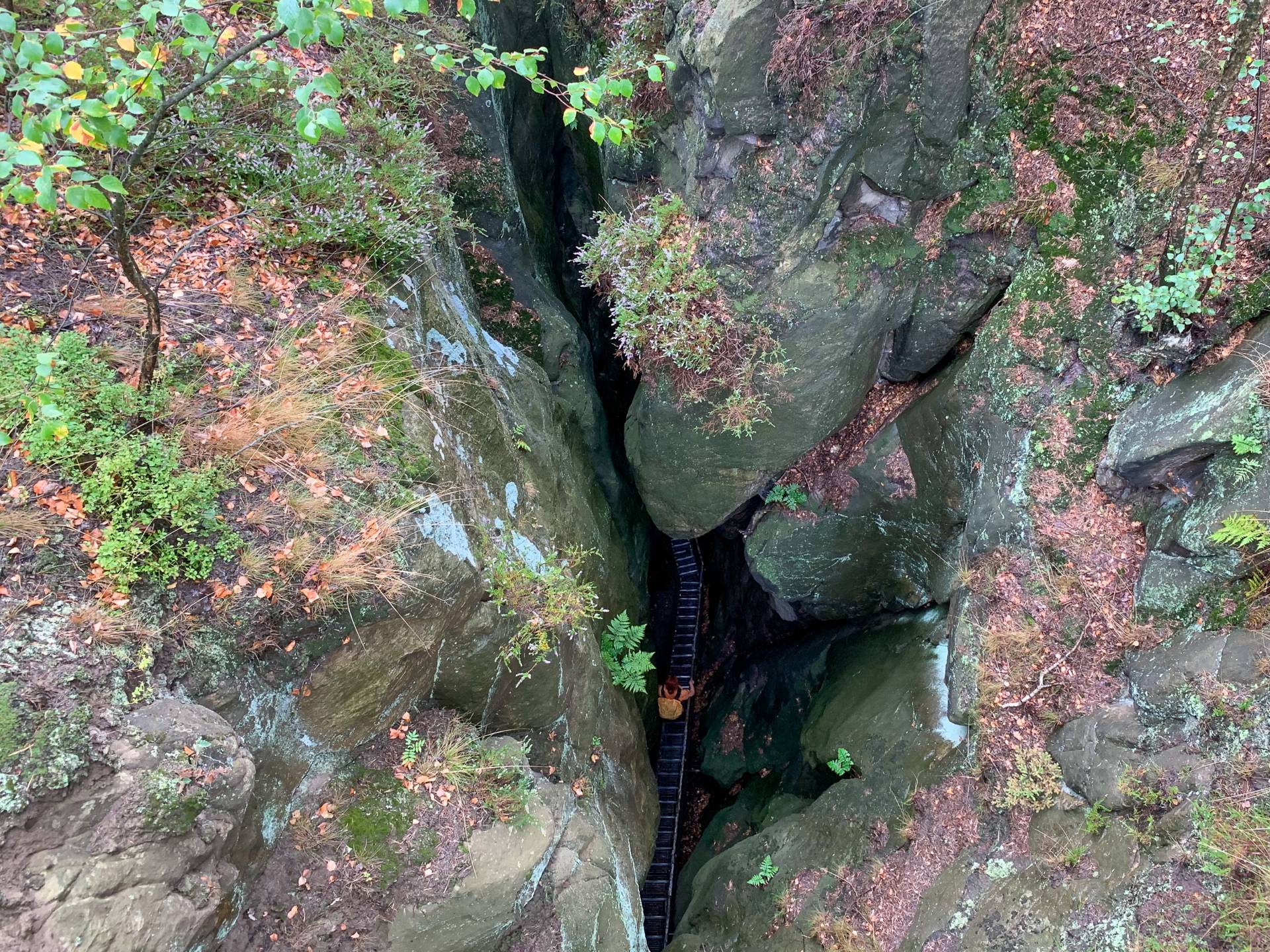 Vom Hockstein durch die Wolfsschlucht